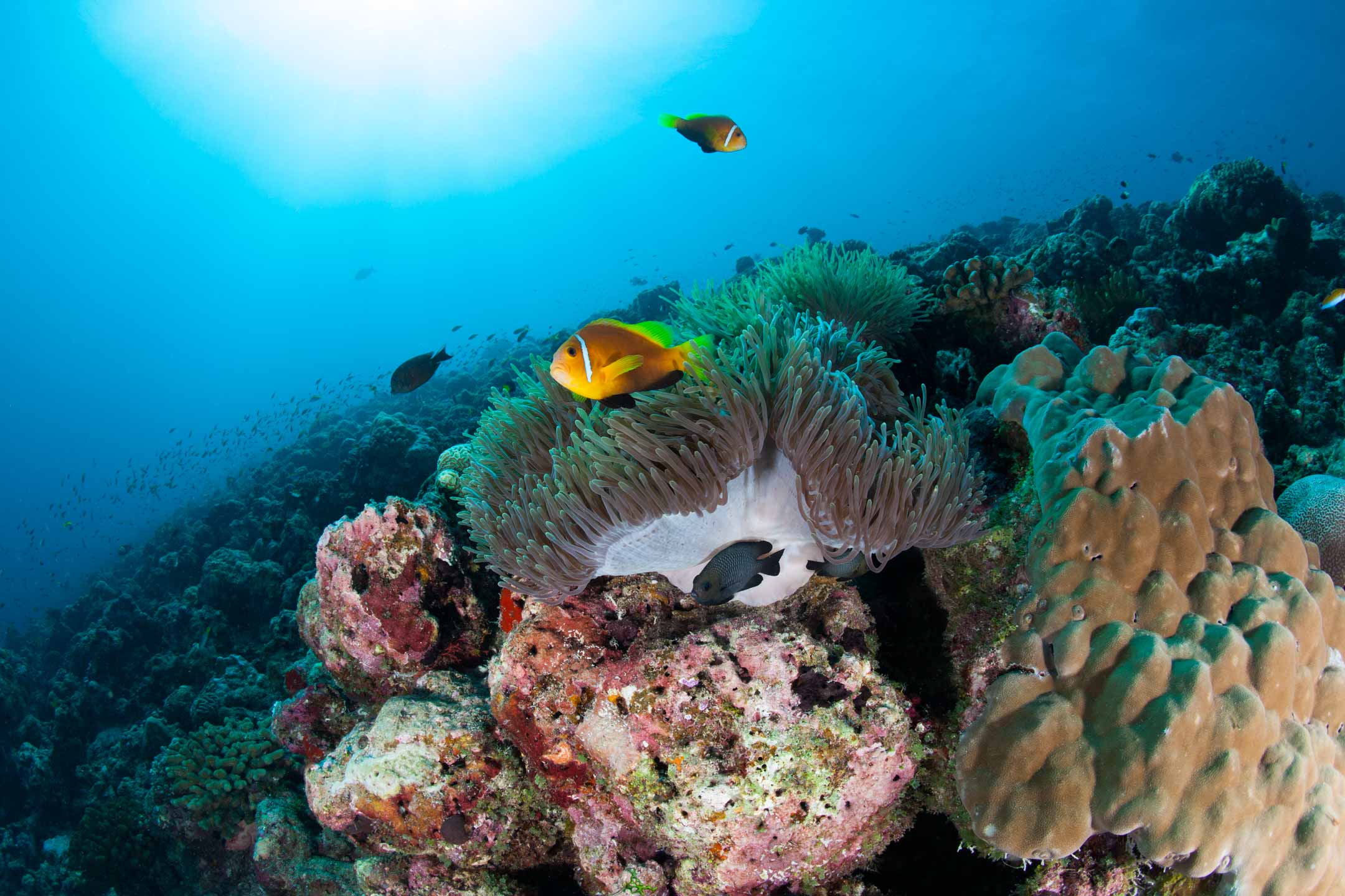 seascape | south ari